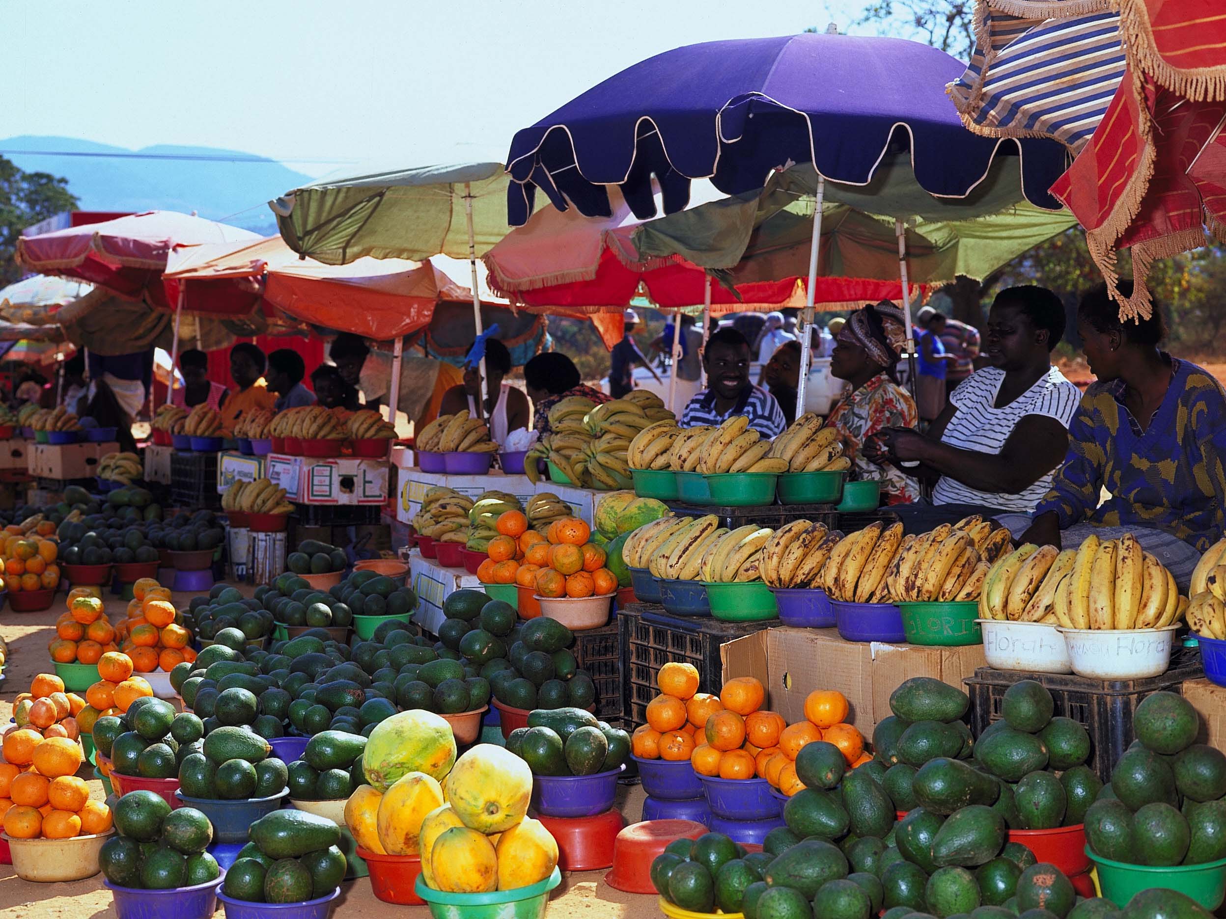 Tshakhuma Fruits Market